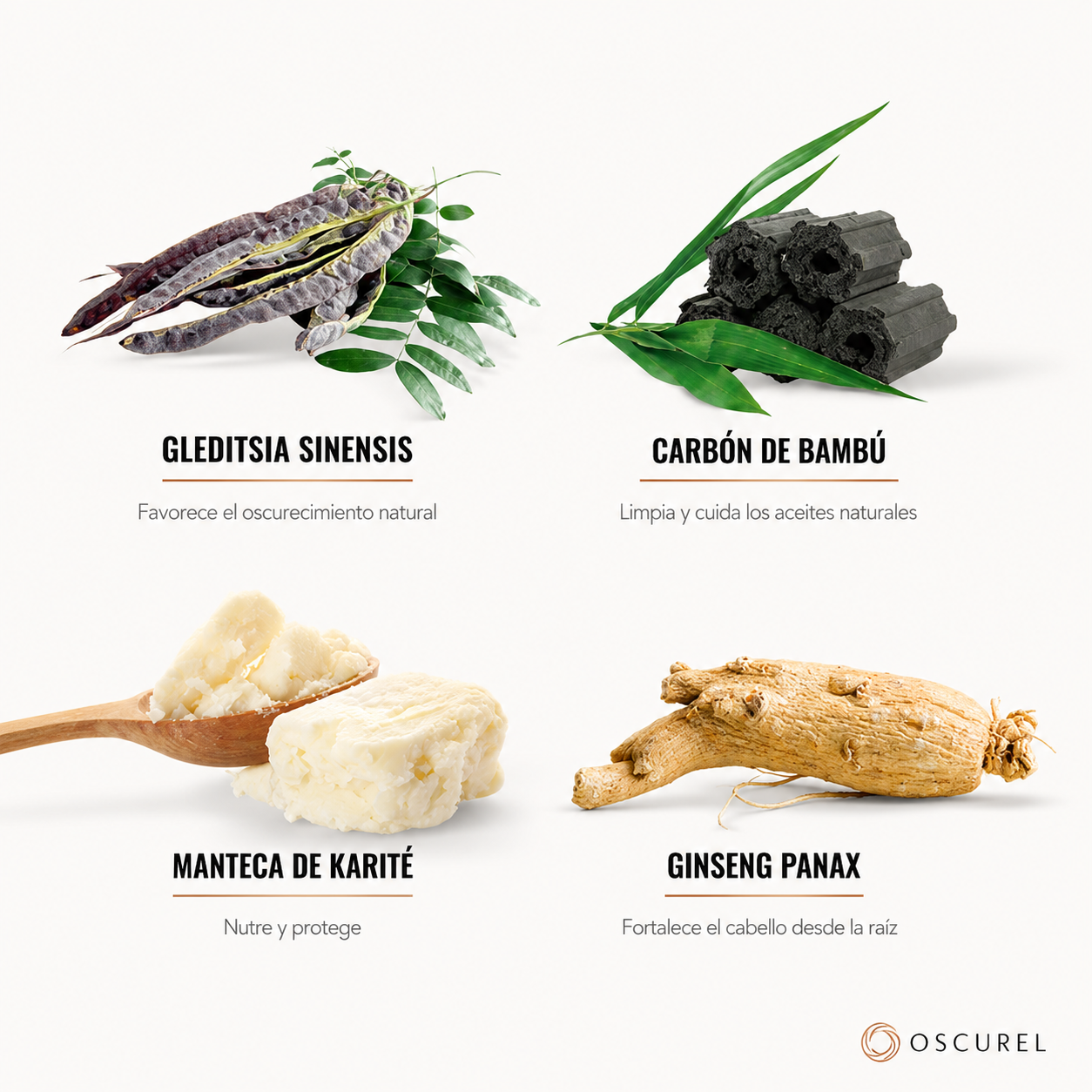 Oscurel l Barra de Carbón para Canas