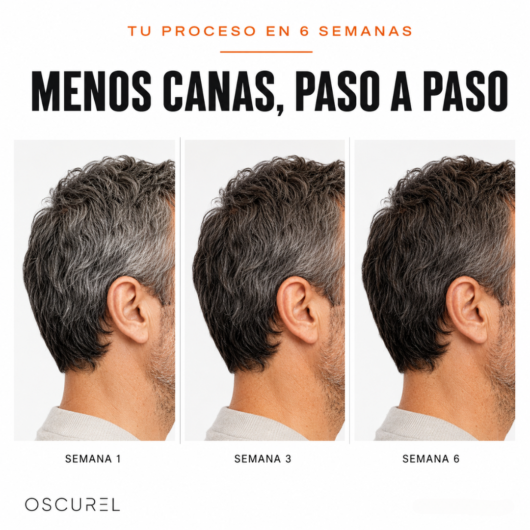 Oscurel l Barra de Carbón para Canas